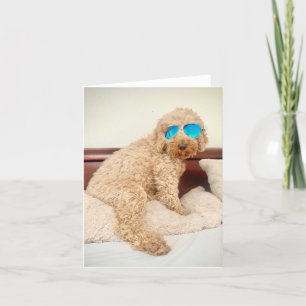 Ella wears her favorite shades letterpress thank you card