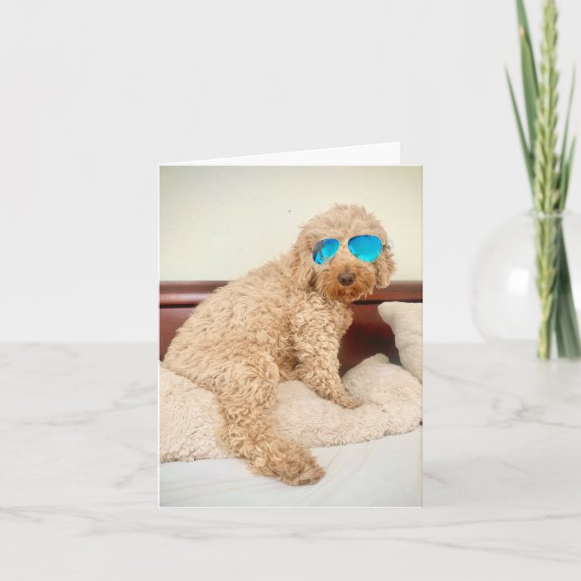 Ella wears her favorite shades thank you card (Front)