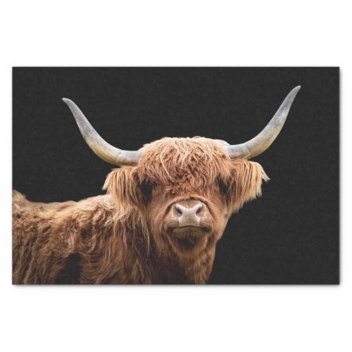 Ellie the Highland Coo Tissue Paper