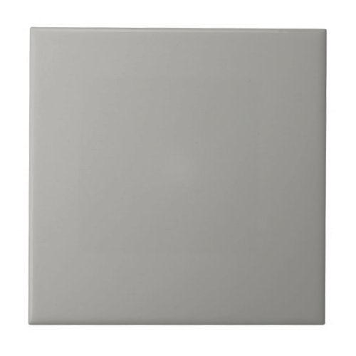 Ellies Neutral Gray Square Kitchen and Bathroom Ceramic Tile