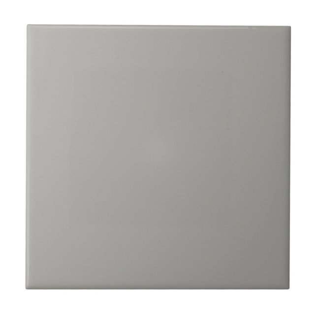 Ellie's Neutral Gray Square Kitchen and Bathroom Ceramic Tile (Front)