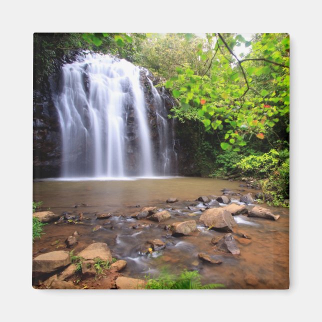 Ellinjaa waterfall, Australia Magnet (Front)