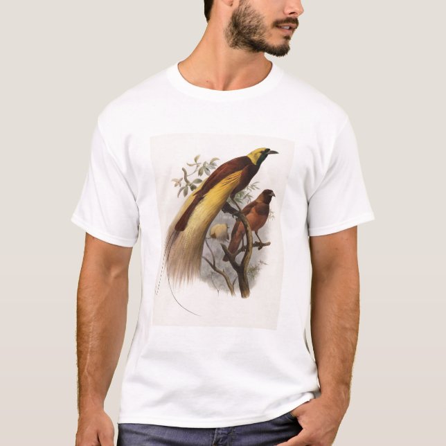 Elliot - Paradisea apoda -Greater Bird Of Paradise T-Shirt (Front)