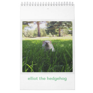 elliot the hedgehog calendar