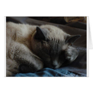 Elliott's Paw Cards