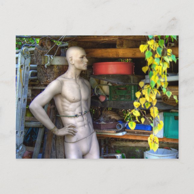 Ellis Garden III Postcard (Front)