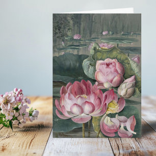 Ellis Rowan Sacred Lotus Water Lily Vintage Flower Card