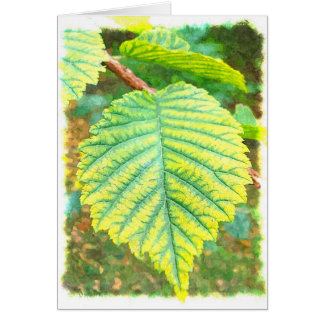 Elm Leaf in Autumn Cards