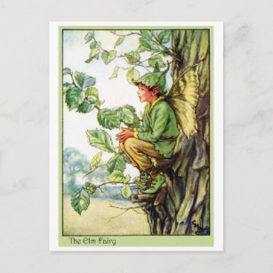 Elm Tree Fairy Postcard