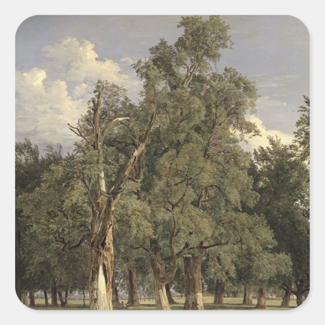 Elm trees in Prater, 1831 Square Sticker (Front)