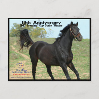 Elmhurst - '97 Breeders' Cup Sprint Winner Postcard