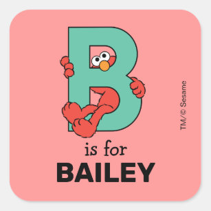 B is for Bailey Alphabet Book