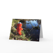 Elmo Plassend at the water edge.