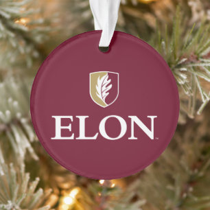 Elon Ornament