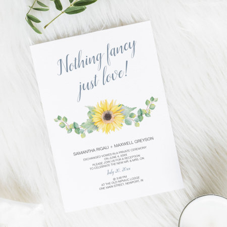 Elopement Reception Nothing Fancy Just Love Invitation