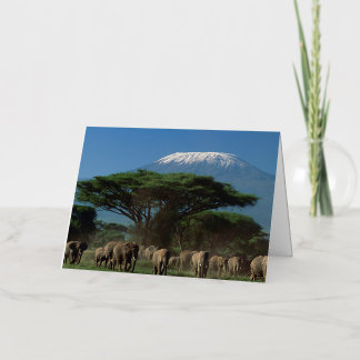Elphants of Mt. Kilimanjaro Foil Greeting Card