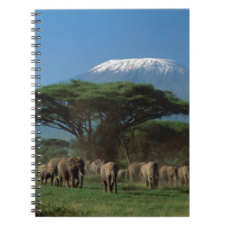 Elphants of Mt.Kilimanjaro Notebook