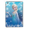 Elsa the Snow Queen