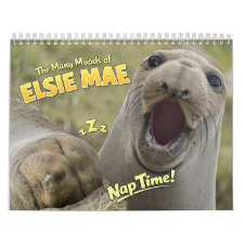 Elsie Mae Anacortes Washington