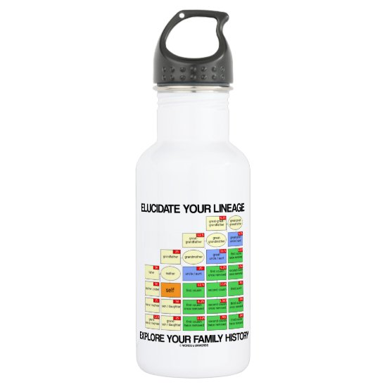 Elucidate Your Lineage Explore Your Family History Stainless Steel Water Bottle