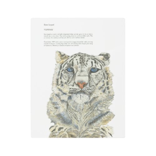 Elusive Handpainted Snow Leopard Artwork Metal Print