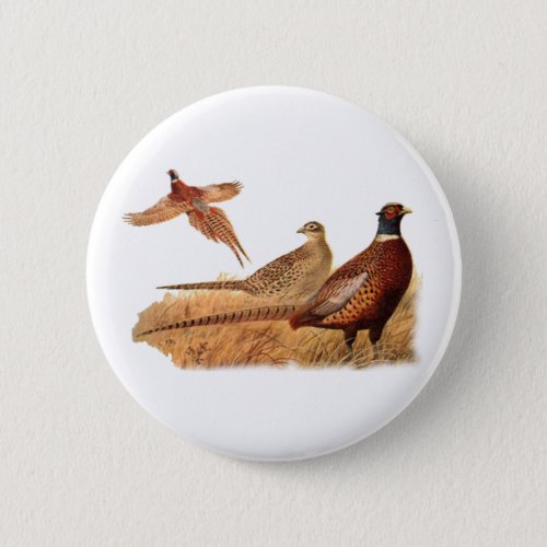 Elusive Pheasant Bird Hunting Button