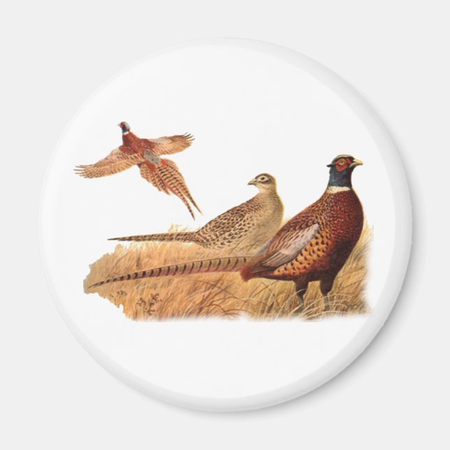 Elusive Pheasant Bird Hunting Magnet (Front)