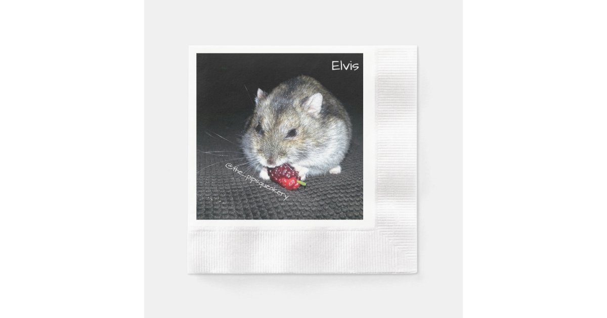 Elvis and the Mulberry Paper Napkins Zazzle