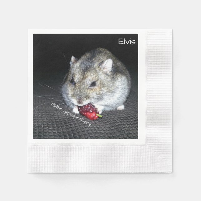 Elvis and the Mulberry Paper Napkins (Front)