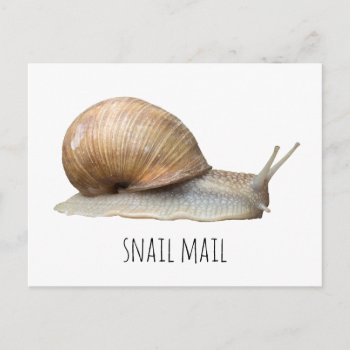 Email Snail Postcard by Rockethousebirdship at Zazzle
