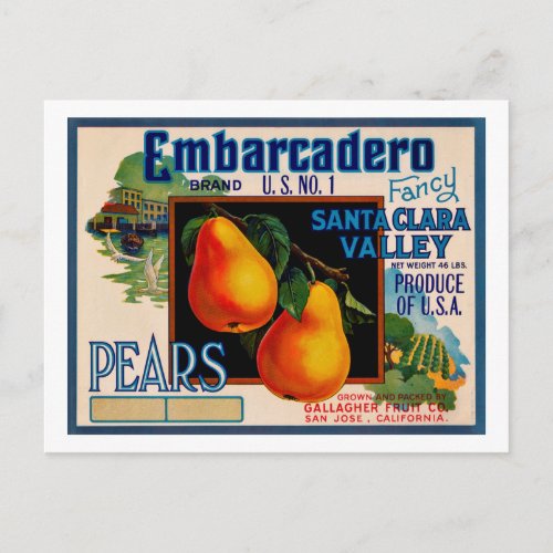 Embarcadero Fancy Santa Clara Pears Postcard