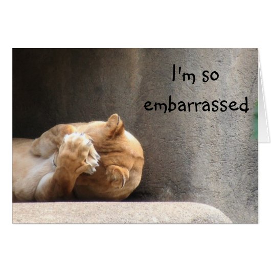 Embarrassed lioness cards (Front Horizontal)