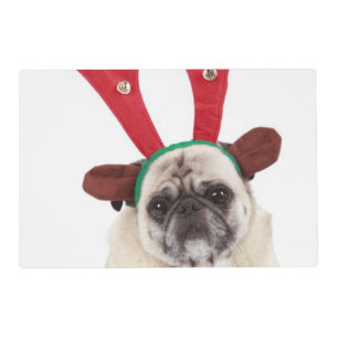 Embarrassed looking Pug wearing Reindeer Antlers Placemat