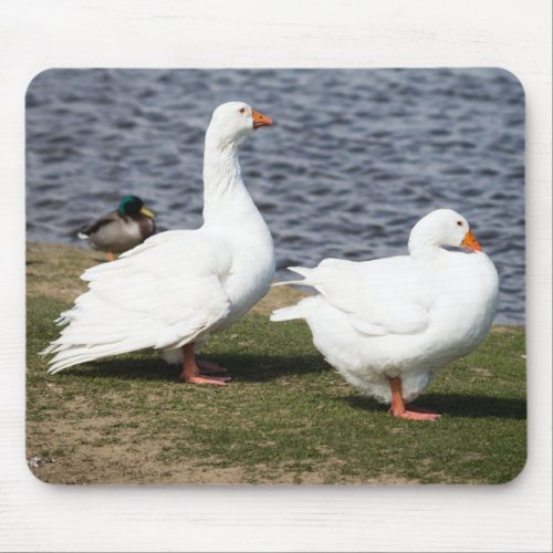 Embden Geese Mouse Pad