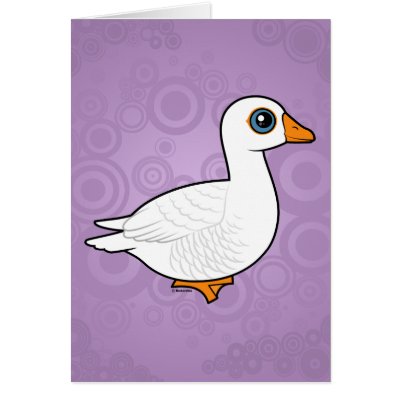 Embden Goose