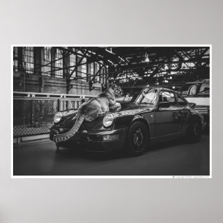 Ember Puma Coal | Cougar and a car Poster