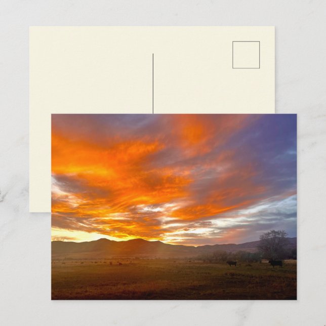Ember Sky Postcard (Front/Back)