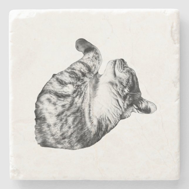 Ember-Step Purr Stone Coaster (Front)