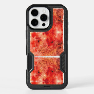 Embers Unfolding iPhone 16 Pro Max Case