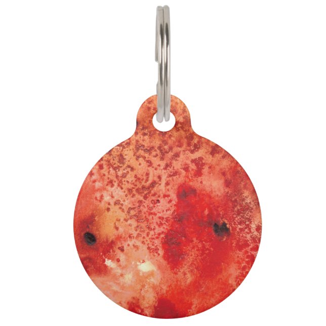 Embers Unfolding Pet ID Tag (Front)