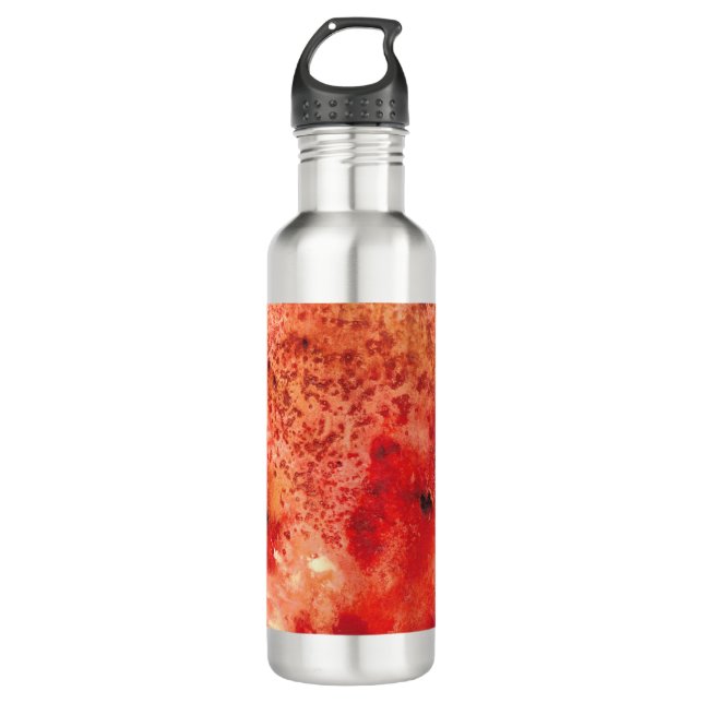 Embers Unfolding Stainless Steel Water Bottle (Front)