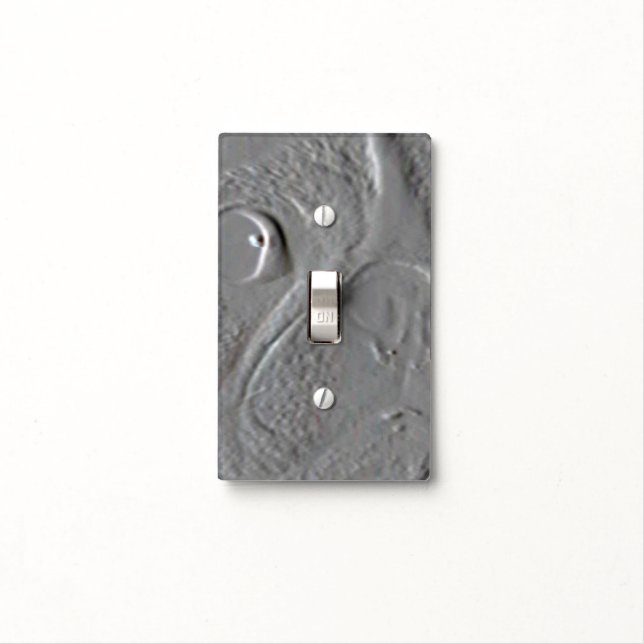Embossed Boston Terrier face Light Switch Cover (In Situ)