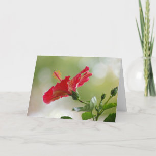 Embossed Red Hibiscus, Christmas Lights Holiday Card