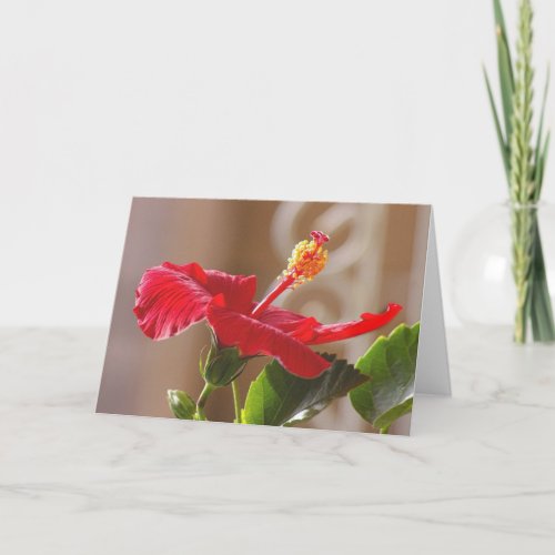 Embossed Red Hibiscus Scrolled Card
