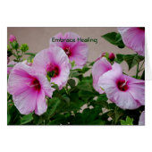 Embrace Healing (Front Horizontal)