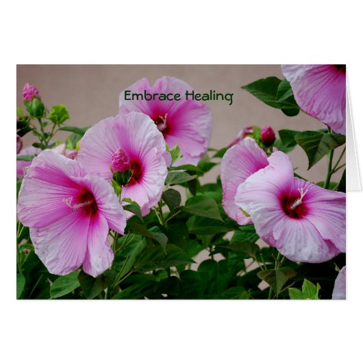 Embrace Healing Cards (Front Horizontal)