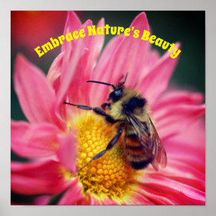 Embrace Nature Bee On Daisy Inspirational Poster