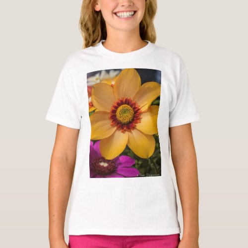 Embrace the beauty of nature _____T shirt