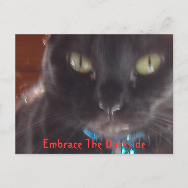 Embrace The Darkside Postcard (Front)