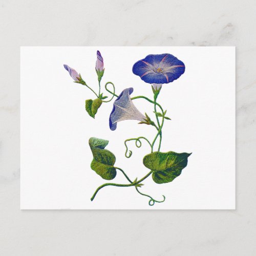 Embroidered Blue Morning Glories Postcard